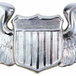 None Insignias / Medals / Ribbons US Air Force USAF Pilot Wing Insignia Pin