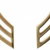 None Insignias / Medals / Ribbons Polished Gold Sergeant United States Army Rank Insignia Pin