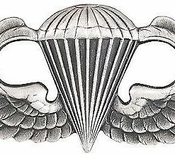 None Insignias / Medals / Ribbons US Parawing Insignia Pin