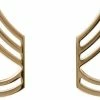 None Polished Gold Sergeant First Class United States Army Rank Insignia Pin
