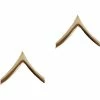 Rothco Polished - Military Private Pin-On Insignia Pair PVT