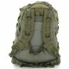 Army Navy Store Foliage Green - Military MOLLE Compatible Large Transport Pack