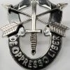 Rothco Special Forces DE OPPRESSO LIBER Pin-On Crest Insignia